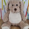 Labradoodle Hund