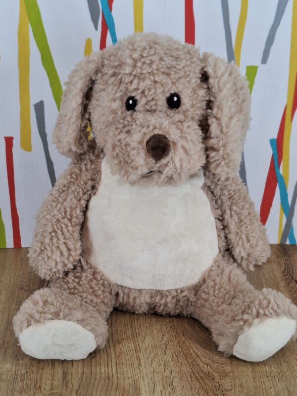Labradoodle Hund